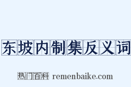 东坡内制集反义词是什么意思的图片